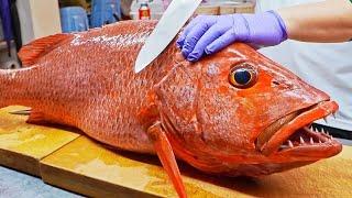 Amazing Skill！Fish Cutting Skills, Various Fish Catch, Sashimi / 驚奇的海鮮美食！ 魚的切割技能, 各種生魚片