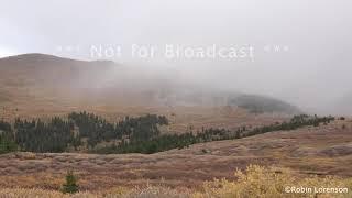 09-29-2021 Loveland Pass, Kenosha Pass, and Guanella Pass, CO Fall Folliage and Mountain Snow