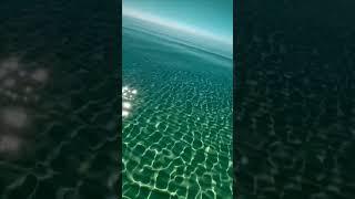 Ocean Water  #nature #naturelovers #shorts #youtubeshorts #trending #subscribe