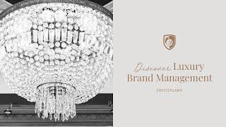 Step Into the World of Luxury Brand Management