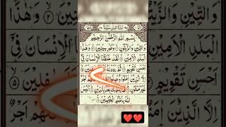 Let's Listen And Learn Surah Tt-Teen #surahteen #quran#quranrecitation  #shorts#youtubeshorts