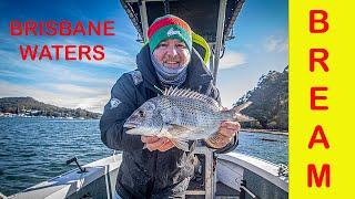 Brisbane Water catching Bream