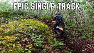 Raw Enduro Suffering Through Canadian Single Track