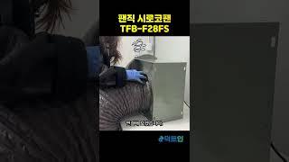 팬직 2.1마력 시로코팬 TFB-F28FS 소음테스트