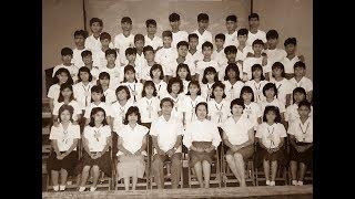 IV FARADAY 87 (P.C.E.H.S)