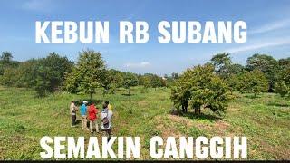 Kebun RB Subang Semakin Canggih