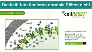 CellReset-Stoffwechsel Programm