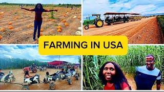 Farming in USA with my family mashamba Huku yues