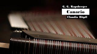 G.G. Kapsberger: Canario (Claudia Höpfl, Zither)
