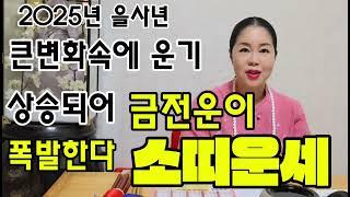 *을사년 2025년 기대되는 소띠운세* 큰변화속에  운이 바뀌고 달라진다  금전ㆍ재물운 폭발하는  소띠운세!!  을사년 대박나봅시다