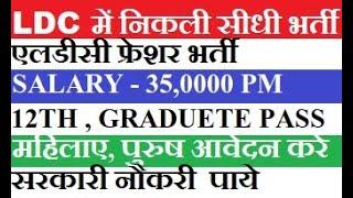 LDC Vacancy 2023 | RSMSSB LDC New Vacancy 2023-24 | Rajasthan LDC Recruitment 2023 | Gov Jobs 2023