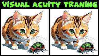 Find 3 Differences  Attention Test  Funny Cat Challenge  Round 335