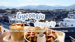 Gyeongju Day Trip | hanok cafe, daereungwon, cheomseongdae, flower fields, woljeonggyo, wolji pond