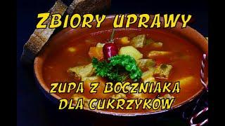 Hodowla Boczniaka - Zbiory uprawy, zupa z boczniaka dla cukrzyków