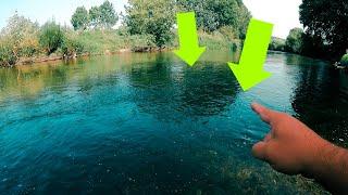 Hardbait INFERNO  Welche MEGA Fische sind in diesem Fluss?