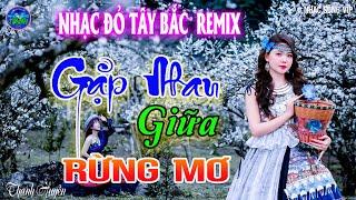 Gặp Nhau Giữa Rừng Mơ - Thanh Huyền Tuyển Chọn Những Ca Khúc Nhạc Đỏ Cách Mạng REMIX Hay Nhất