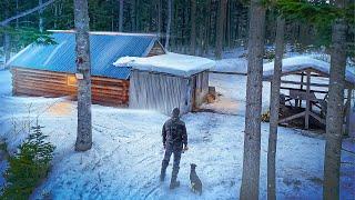 КРУГОМ ЗВЕРИ | Приютила ИЗБА В ТАЙГЕ - Нашел БОЛЬШОЙ ДОМ В ГЛУШИ | БАНЯ В ЛЕСУ