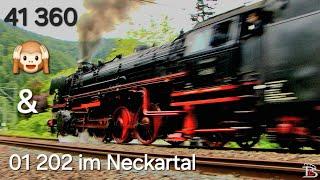 Steam locomotive 41 360 clears your ears - 01 202 and 41 360 blast through the Neckar Valley