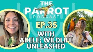 Passionate Conservation with Amazon Parrots, Macaws, Cockatoos & Reptiles | The Parrot Podcast #35