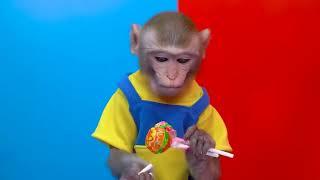 KiKi Monkey helps mom take a bath for Naughty Baby   One day take care of baby   KUDO ANIMAL KIKI