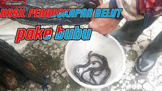 HASIL PENANGKAPAN BELUT PAKAI BUBU