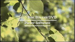 Top 5 Best Blu ray or DVD Player Software