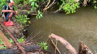 Hujan deras nggak masalah.!!! Yang penting ikan nya ganas ganas mancing di sungai saat hujan