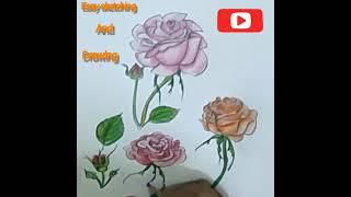 #sketchyaart | how to draw rose flower | easy rose drawing | how to color with color pencils