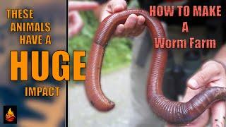 How To Make Your Own Worm Farm | worms are the most important animals on the planet.