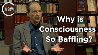 Roger Walsh - Why is Consciousness So Baffling?