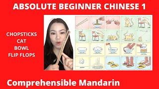 Absolute Beginner Chinese 1 - Chinese Comprehensible Input