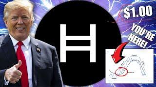 Hedera Hashgraph HBAR To Be Added To The US Crypto Reserve!?! INSANE Price Action Coming In 2025!!!!