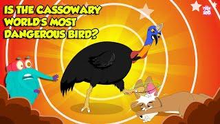 The World’s Most Dangerous Bird - The Cassowary | Modern Day Dinosaurs | The Dr. Binocs Show