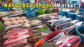 LARGEST FISH MARKET IN THE PHILIPPINES | Navotas Fish Port Complex | Walking Tour |
