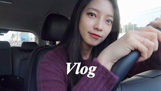 [VLOG] 각종 언박싱을 곁들인 일상브이로그비바로마, 금상어가 홈마카세, 전주 디오니스토어, 막창도둑, 쿠팡 양갈비, 빌레로이앤보흐