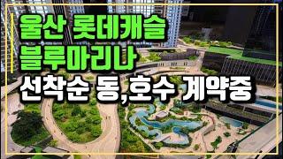 울산 롯데캐슬 블루마리나 생활형숙박시설 입지분석 모델하우스(견본주택) 정보