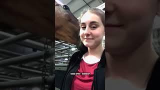 Horse Licking Girl's Neck