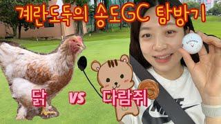 EP.09 계란도둑의 송도GC 탐방기