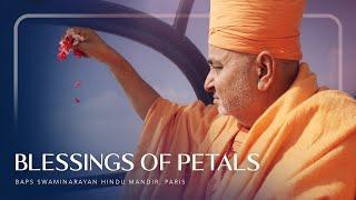 Announcement: Blessings of Petals | BAPS Swaminarayan Hindu Mandir, Paris