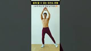 효과보장중년 전신 뱃살 빼는 점프없는 유산소 운동 무릎 안아픈 운동 Standing Easy Cardio Fat Burn 임피티 IMPT DIET