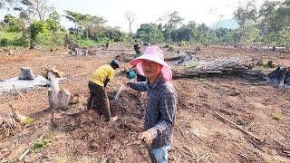 Mở rộng diện tích trồng trọt về mùa khô || Tony Phong cuộc sống Châu Phi