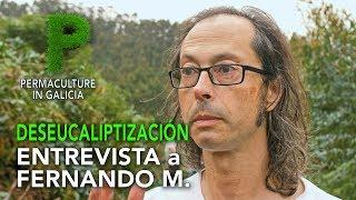 DESEUCALIPTIZACIÓN. 4K Galego |  Entrevista a Fernando Marcelín | Permacultura en Galicia