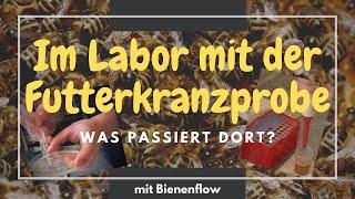 Im Labor mit der Futterkranzprobe