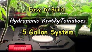 Easy System for Hydroponic Kratky Tomatoes - Indoor Growing