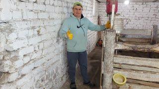 Продали всех. Посадили квочку.