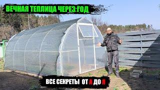 Сверхурожайная ТЕПЛИЦА. ПРОСТОЙ СЕКРЕТ! Результат вас поразит!