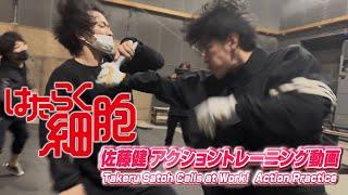 はたらく細胞　佐藤健アクショントレーニング動画 / Takeru Satoh Cells at Work!  Action Practice