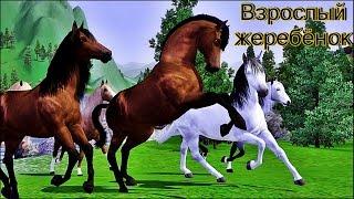 Дикие лошади/Wild horses (Взрослый жеребёнок); The Sims 3.