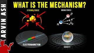 Why & How do the 4 fundamental forces of nature work?