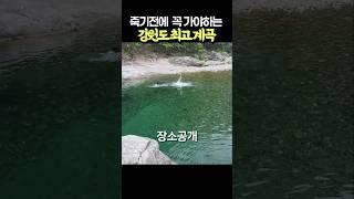 죽기전에 꼭 가봐야하는 강원도 인생 계곡 #여름휴가 #여름엔계곡이지